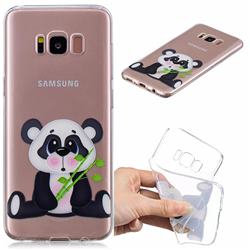 Bamboo Panda Clear Varnish Soft Phone Back Cover for Samsung Galaxy S8