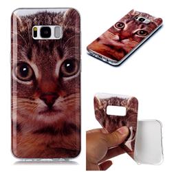 Garfield Cat Soft TPU Cell Phone Back Cover for Samsung Galaxy S8