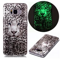 Leopard Tiger Noctilucent Soft TPU Back Cover for Samsung Galaxy S8