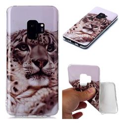 White Leopard Soft TPU Cell Phone Back Cover for Samsung Galaxy S9