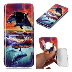 Flying Dolphin Soft TPU Cell Phone Back Cover for Samsung Galaxy S9