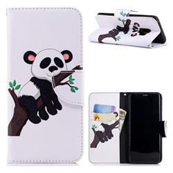 Tree Panda Leather Wallet Case for Samsung Galaxy S9