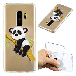 Tree Panda Super Clear Soft TPU Back Cover for Samsung Galaxy S9 Plus(S9+)
