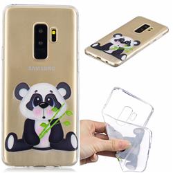 Bamboo Panda Clear Varnish Soft Phone Back Cover for Samsung Galaxy S9 Plus(S9+)