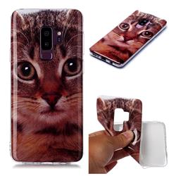Garfield Cat Soft TPU Cell Phone Back Cover for Samsung Galaxy S9 Plus(S9+)