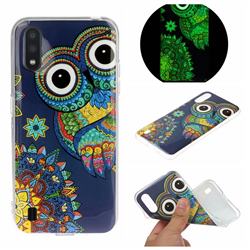 Tribe Owl Noctilucent Soft TPU Back Cover for Samsung Galaxy A01