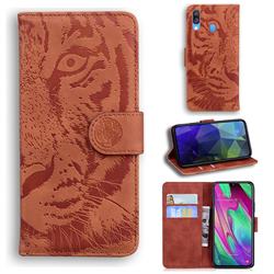Intricate Embossing Tiger Face Leather Wallet Case for Samsung Galaxy A40 - Brown