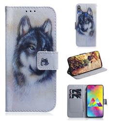 Snow Wolf PU Leather Wallet Case for Samsung Galaxy M20