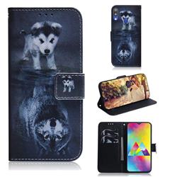 Wolf and Dog PU Leather Wallet Case for Samsung Galaxy M20