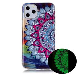 Colorful Sun Flower Noctilucent Soft TPU Back Cover for iPhone 11 Pro Max (6.5 inch)