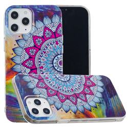 Colorful Sun Flower Noctilucent Soft TPU Back Cover for iPhone 12 Pro Max (6.7 inch)