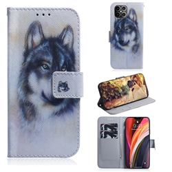 Snow Wolf PU Leather Wallet Case for iPhone 12 Pro Max (6.7 inch)