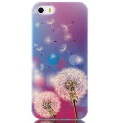 Dandelions Blue Ray Light TPU Case for iPhone SE / iPhone 5s / iPhone 5