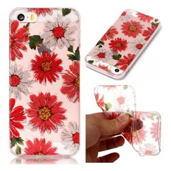 Red Daisy Super Clear Flash Powder Shiny Soft TPU Back Cover for iPhone SE 5s 5