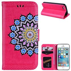 Datura Flowers Flash Powder Leather Wallet Holster Case for iPhone SE 5s 5 - Rose