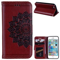 Datura Flowers Flash Powder Leather Wallet Holster Case for iPhone SE 5s 5 - Brown