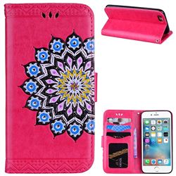 Datura Flowers Flash Powder Leather Wallet Holster Case for iPhone 6s 6 6G(4.7 inch) - Rose