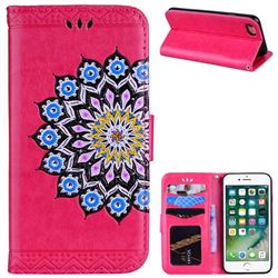 Datura Flowers Flash Powder Leather Wallet Holster Case for iPhone 8 / 7 (4.7 inch) - Rose