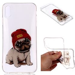 Pugs Dog Super Clear Flash Powder Shiny Soft TPU Back Cover for iPhone Xr (6.1 inch)